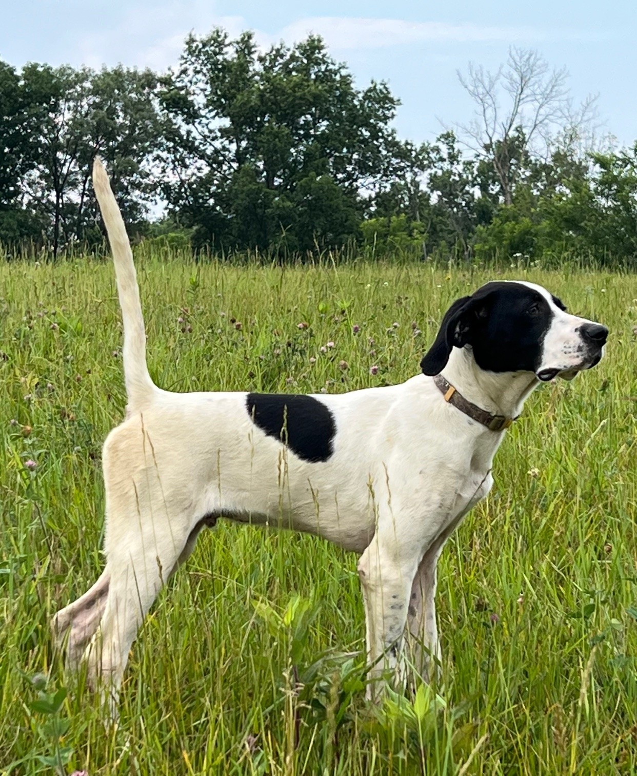 HACKBERRYS ELHEW KOAL TRAIN OF WCK