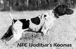 NFC UODIBAR'S KOONAS