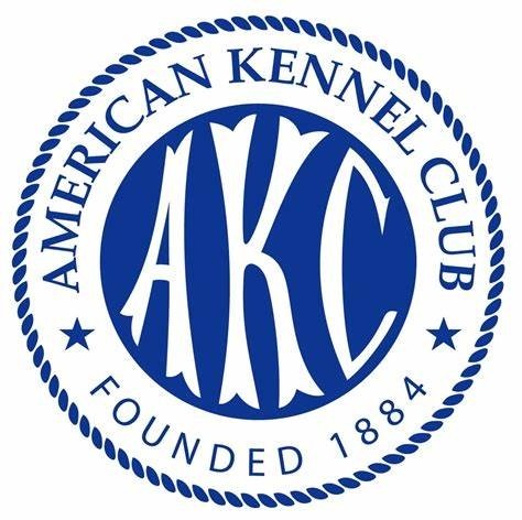 AKC  AMERICAN KENNEL CLUB