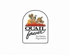 QUAIL FOREVER